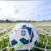 TV Brasil mostra nesta segunda confronto entre Palmeiras e Atlético-MG