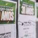 Mega 30 anos sorteia prêmio especial de R$ 320 milhões; assista aqui